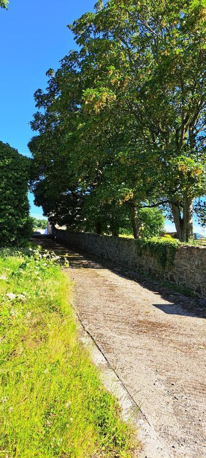 Ardkeen House B&B Extérieur photo